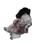 suki.gif