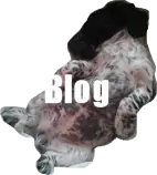 sukiblog.gif