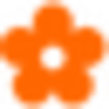 media/ssfos.png