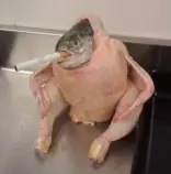 dkcijf.jpg