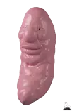 openclo.gif