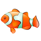 img/pez1.png