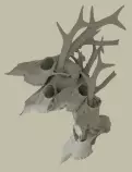 02-diffuse_best.png