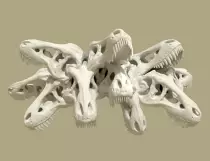 04-rex-mat.png