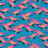 Blog/dinooo.gif