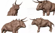 Bull.jpg