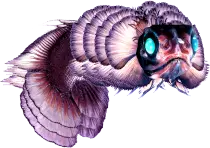 Fish-swim-04.png