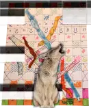NA/leelaCoyote.gif