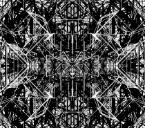 Trickster_Spiders_Quantum_Entanglement.png
