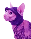 VR_webStuff/neoSLEEP_002.png