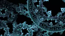 VR_webStuff/room+04/frac.gif