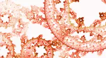 VR_webStuff/room+04/frac02.gif