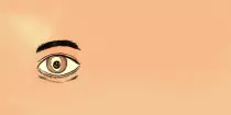 VR_webStuff/room+06/eq-eye01.jpg