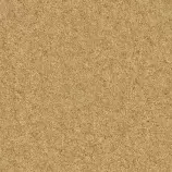 VR_webStuff/sand.jpg