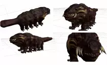 Woola.jpg