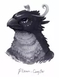 bird-kurrikage-2.jpg