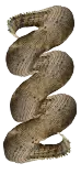 croc copy.png