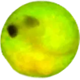 eggs/0000.png