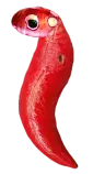 eggs/bA-L.png