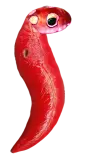eggs/bA.png