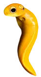 eggs/bB-L.png
