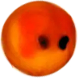 eggs/egg-A.png