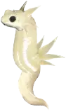 eggs/kC-L.png