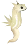 eggs/kC.png