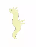 eggs/morphC.gif