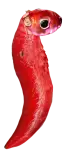 eggs/state-02-R.png