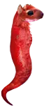 eggs/state-03-R.png