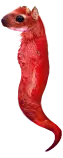 eggs/state-03.png