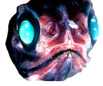 fishHead.png