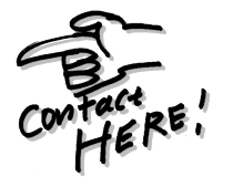 contacthere.png