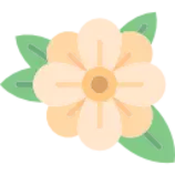 app/flower(1).png