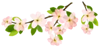 app/spring3.png
