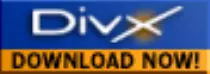 img/divx.gif