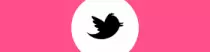 clothingswap/images/icon_twitter.png