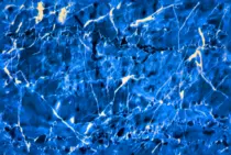 bluermarble.png