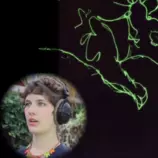 homezaplace.png