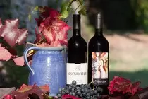 img/wine-1729458_1920.jpg