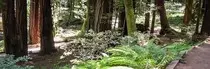 mod7/images/trailhero.jpg