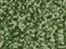 bg01.jpg