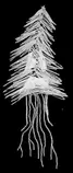 tree-invert.png