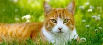 images/slider/slider17.jpg