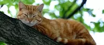 images/slider/slider9.jpg