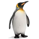mod02/img/pinguino.png