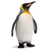 mod02/img/pinguino2.png