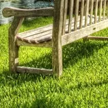 mod06/puzzle/bench_on_the_river_bank-8.jpg