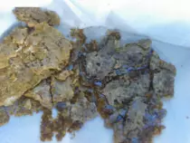 shatter1.jpg